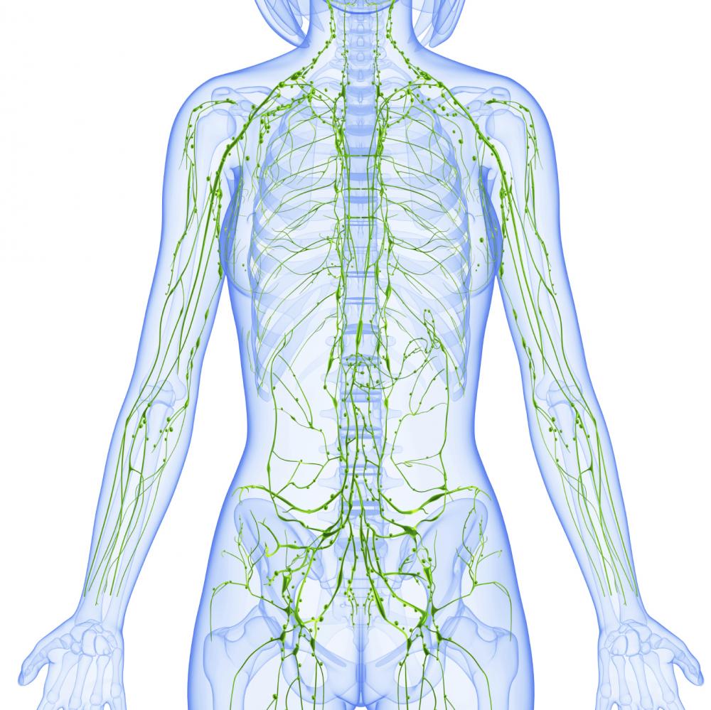 Drainage Lymphatique