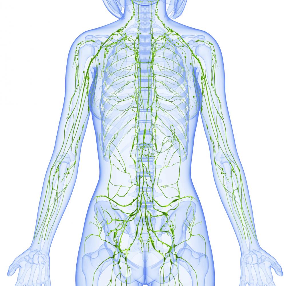 Drainage Lymphatique